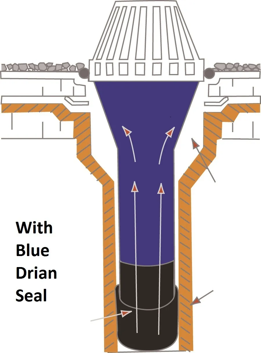 Blueseal_With With Text Blueseal_With With Text